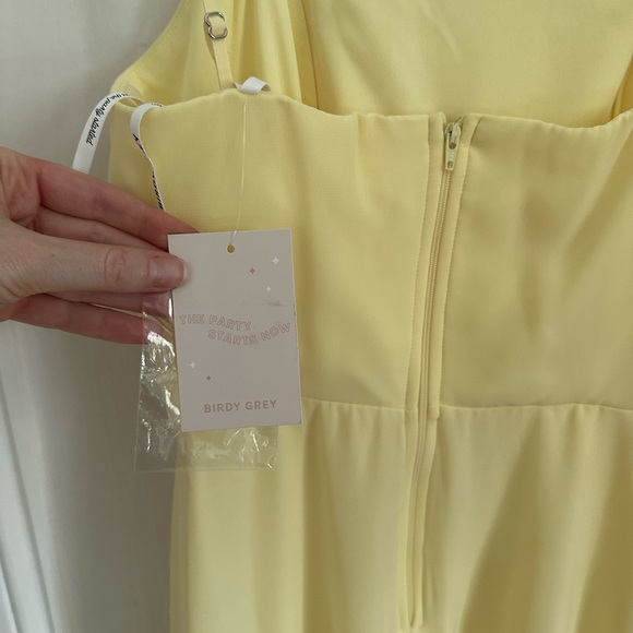 Birdy Grey Lemon Sorbet Chiffon Dress - Picture 6 of 7